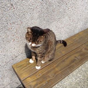 Meet your Posher, Vanessa